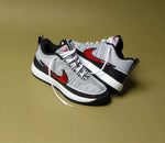 Charger l'image dans la galerie, Nike LeBron NXXT Gen – Chapter Two / Silver / Red

