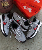 Charger l'image dans la galerie, Nike LeBron NXXT Gen – Chapter Two / Silver / Red
